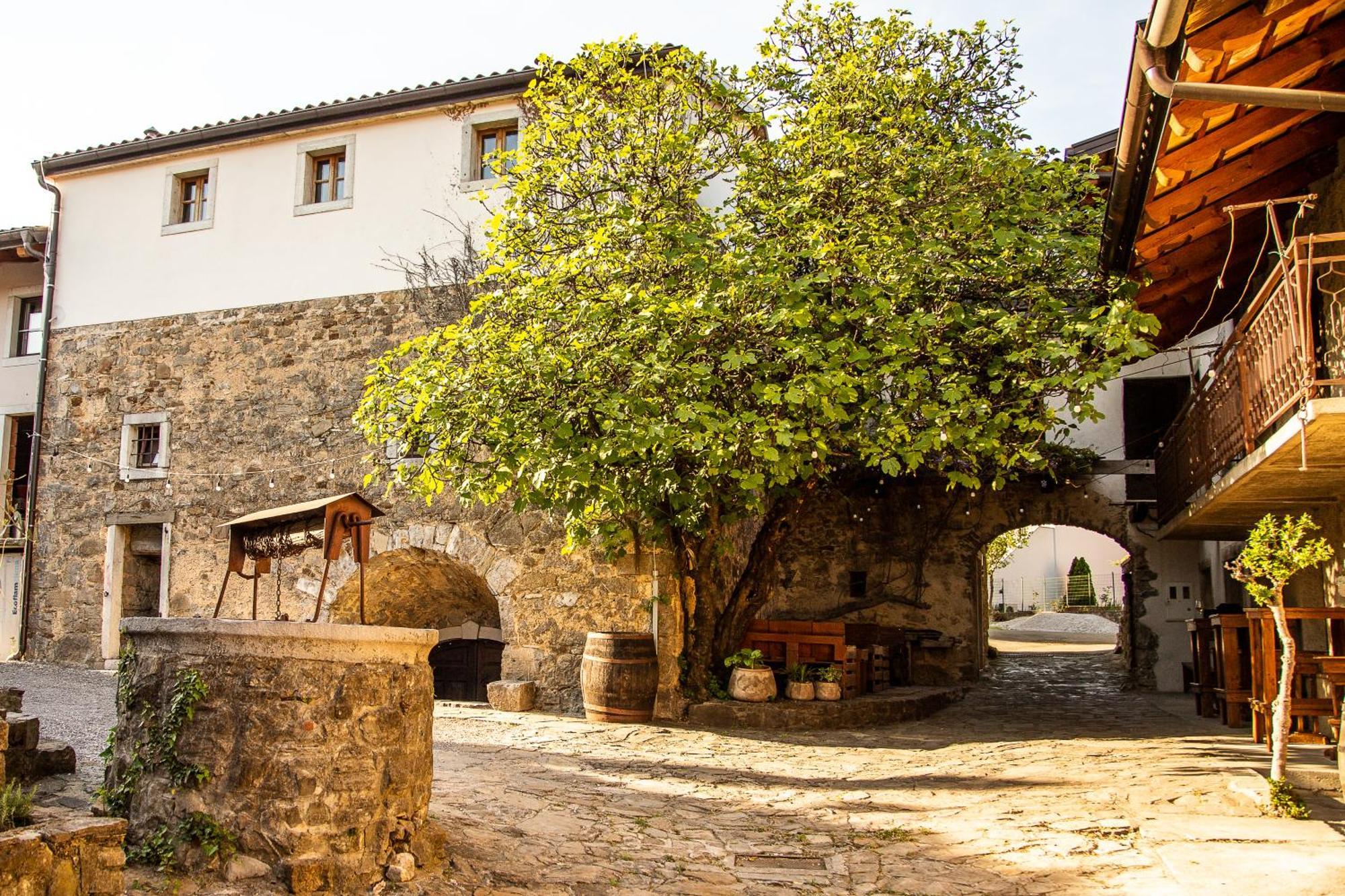 Boutique Rooms & Winery Zorz Vipava Dış mekan fotoğraf